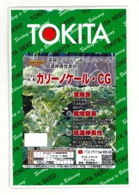 カリーノケールCG コート種子1000粒 トキタ種苗（株）