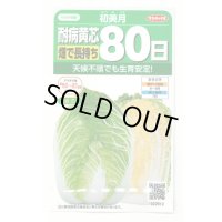 [白菜] 初美月 約110粒（株）サカタのタネ　実咲450（208844）