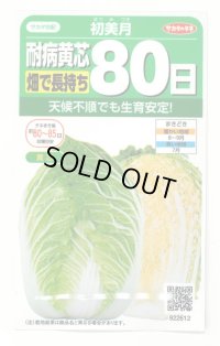[白菜] 初美月 約110粒（株）サカタのタネ　実咲450（208844）
