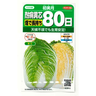 画像1: [白菜] 初美月 約110粒（株）サカタのタネ　実咲450（208844）