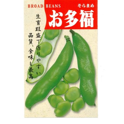 画像1: [そら豆] お多福 1dl トキタ種苗（株）