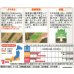 画像2: [大根] 春の守 　小袋　（約110粒） (株)サカタのタネ　実咲101530 (2)