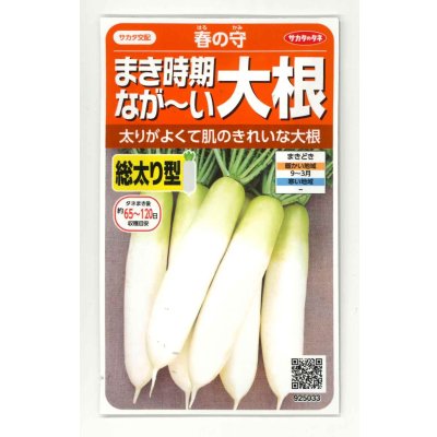 画像1: [大根] 春の守 　小袋　（約110粒） (株)サカタのタネ　実咲101530