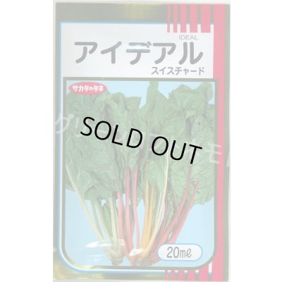 画像1: アイデアル(スイスチャード) 20ml (株)サカタのタネ