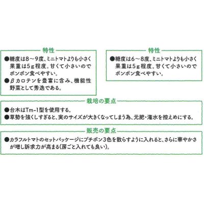 画像5: 送料無料　[トマト/マウロの地中海トマト]　プチポンバイオレット　100粒　サナテックシード（株）