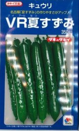 送料無料　[キュウリ]　ＶＲ夏すずみ　350粒　タキイ種苗(株)