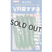 送料無料　[キュウリ]　ＶＲ夏すずみ　350粒　タキイ種苗(株)