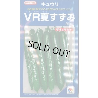 画像1: 送料無料　[キュウリ]　ＶＲ夏すずみ　350粒　タキイ種苗(株)