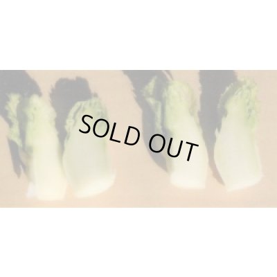 画像3: 送料無料　祝蕾　50粒　（株）大和農園