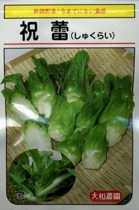 [葉物]　祝蕾　50粒　     （株）大和農園