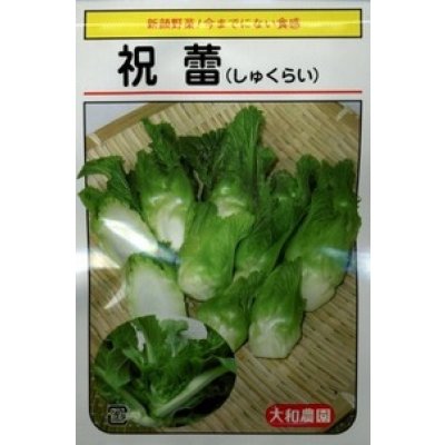 画像1: 送料無料　[葉物]　祝蕾　50粒　(株)大和農園