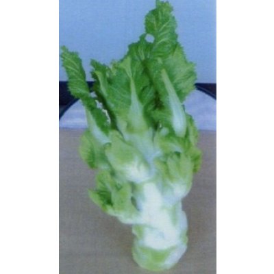 画像2: 送料無料　[葉物]　祝蕾　50粒　(株)大和農園