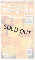送料無料　花の種　マリーゴールド　ボナンザミックス　約43粒　(株)サカタのタネ　実咲200（026360）