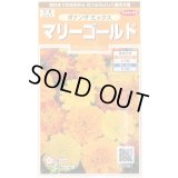 送料無料　花の種　マリーゴールド　ボナンザミックス　約43粒　(株)サカタのタネ　実咲200（026360）