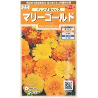 花の種　マリーゴールド　ボナンザミックス　約43粒　サカタのタネ（株）　実咲200