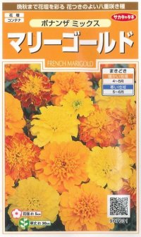 花の種　マリーゴールド　ボナンザミックス　約43粒　サカタのタネ（株）　実咲200