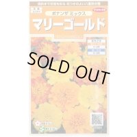 送料無料　花の種　マリーゴールド　ボナンザミックス　約43粒　(株)サカタのタネ　実咲200（026360）