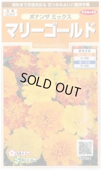 送料無料　花の種　マリーゴールド　ボナンザミックス　約43粒　(株)サカタのタネ　実咲200（026360）
