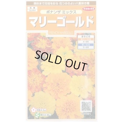 画像1: 送料無料　花の種　マリーゴールド　ボナンザミックス　約43粒　(株)サカタのタネ　実咲200（026360）