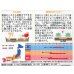 画像2: 送料無料　花の種　マリーゴールド　ボナンザミックス　約43粒　(株)サカタのタネ　実咲200（026360） (2)