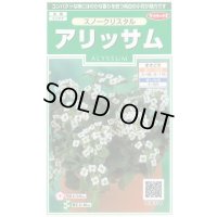 送料無料　花の種　アリッサム　スノークリスタル　約43粒　　(株)サカタのタネ　実咲250（026216）