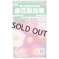 送料無料　花の種　赤花除虫菊　ロビンソンミックス　約125粒　　(株)サカタのタネ　実咲250（026247）