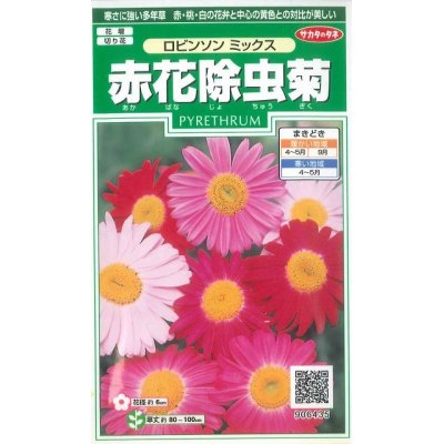 画像1: 花の種　赤花除虫菊　ロビンソンミックス　約125粒　サカタのタネ（株）実咲250