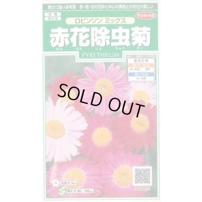 画像1: 花の種 赤花除虫菊 ロビンソンミックス 約125粒 (株)サカタのタネ 実咲250(026247)