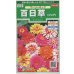 画像1: 送料無料　花の種　百日草　(ジニア)　ワーリーギッグ　約60粒　(株)サカタのタネ　実咲250（026284） (1)