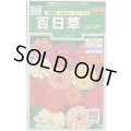 送料無料　花の種　百日草(ジニア)　中輪系プルチノミックス　約40粒　(株)サカタのタネ　実咲250（026283）