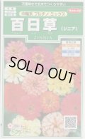 送料無料　花の種　百日草(ジニア)　中輪系プルチノミックス　約40粒　(株)サカタのタネ　実咲250（026283）