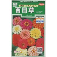 花の種　百日草（ジニア）　中輪系プルチノミックス 　約40粒　サカタのタネ（株）実咲250