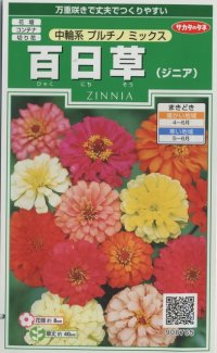 花の種　百日草（ジニア）　中輪系プルチノミックス 　約40粒　サカタのタネ（株）実咲250