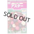送料無料　花の種　アスター　あずみ混合　約143粒　(株)サカタのタネ　実咲350（026083）