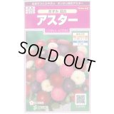 送料無料　花の種　アスター　あずみ混合　約143粒　(株)サカタのタネ　実咲350（026083）