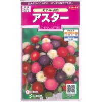 花の種　アスター　あずみ混合　約143粒　サカタのタネ（株）　実咲350