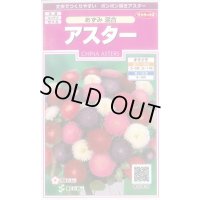 送料無料　花の種　アスター　あずみ混合　約143粒　(株)サカタのタネ　実咲350（026083）