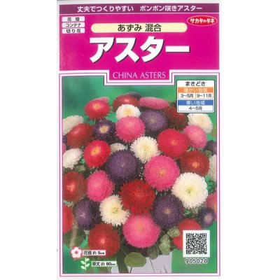 画像1: 花の種　アスター　あずみ混合　約143粒　サカタのタネ（株）　実咲350