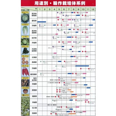 画像7: [緑肥]　ヘアリーベッチ　まめっこ　1kg　カネコ種苗(株)