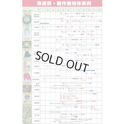 画像7: [緑肥]　ヘアリーベッチ　まめっこ　1kg　カネコ種苗(株)