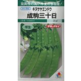 送料無料　[えんどう]　成駒三十日　18ml　(およそ60粒)　タキイ種苗(株)　GF