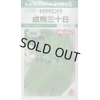 [えんどう]　成駒三十日　18ml （およそ60粒）　タキイ種苗（株）　GF　