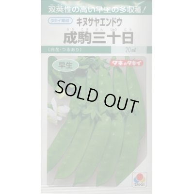 画像1: [えんどう]　成駒三十日　18ml （およそ60粒）　タキイ種苗（株）　GF　