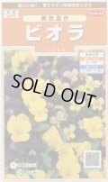 送料無料　花の種　ビオラ　美色混合　約58粒　(株)サカタのタネ　実咲200（026347）