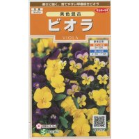 送料無料　花の種　ビオラ　美色混合　約58粒　(株)サカタのタネ　実咲200（026347）