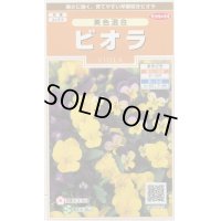 花の種　　ビオラ　美色混合　約58粒 　サカタのタネ（株）実咲200