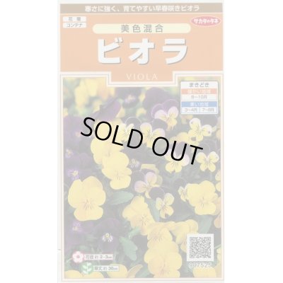 画像1: 花の種　　ビオラ　美色混合　約58粒 　サカタのタネ（株）実咲200