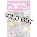 送料無料　花の種　よく咲くスミレ　ミックス　40粒　(株)サカタのタネ　実咲350（026134）