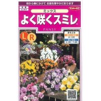 花の種　よく咲くスミレ　ミックス　40粒　サカタのタネ（株）実咲350