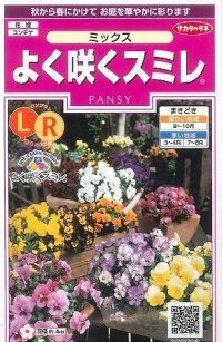 花の種　よく咲くスミレ　ミックス　40粒　サカタのタネ（株）実咲350